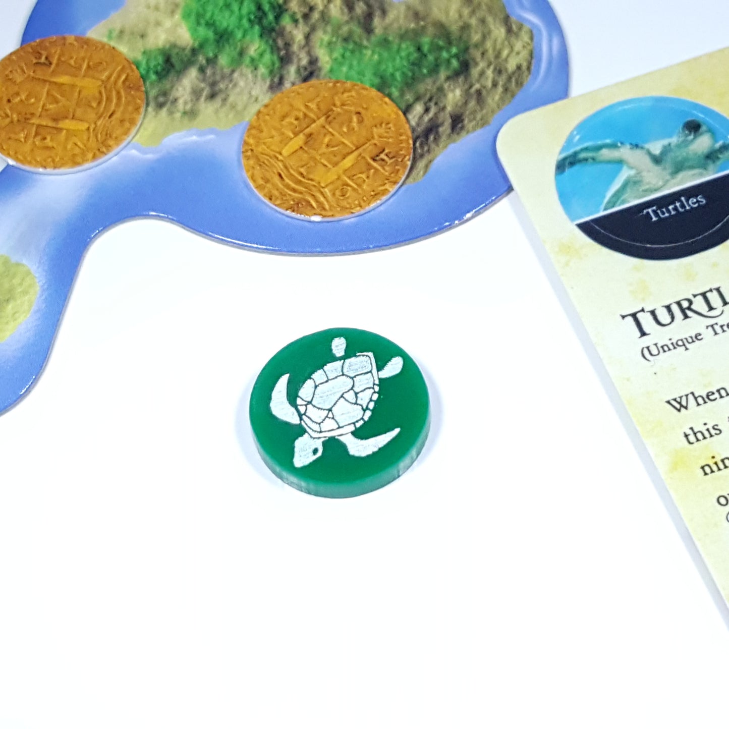 10x Turtle Tokens