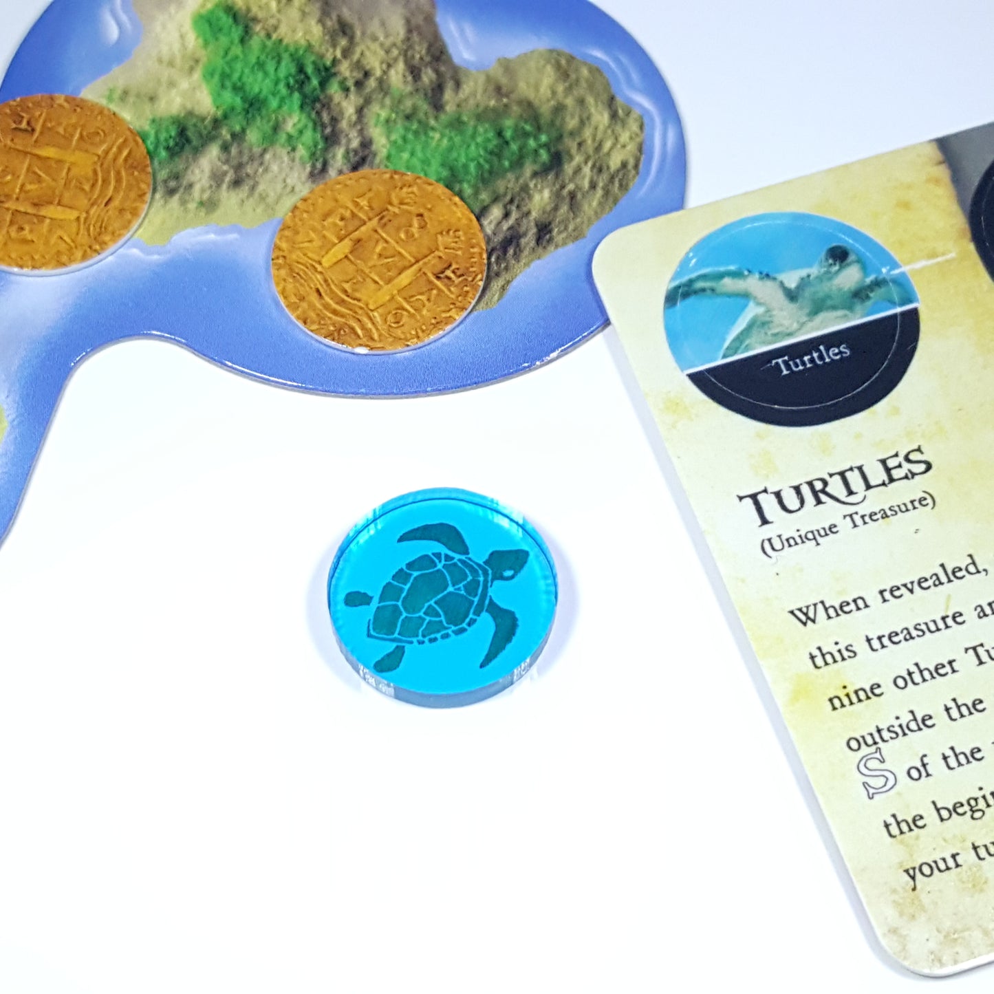 10x Turtle Tokens